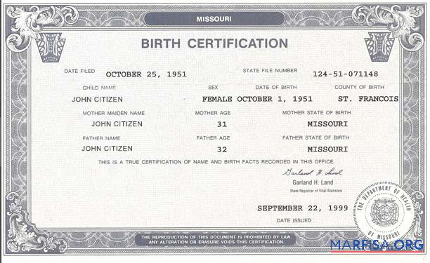 Blank United States The Department of Health birth certificate example